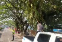 Satlantas Polres Melawi Respon Cepat Informasi Dari Masyarakat.