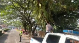 Satlantas Polres Melawi Respon Cepat Informasi Dari Masyarakat.