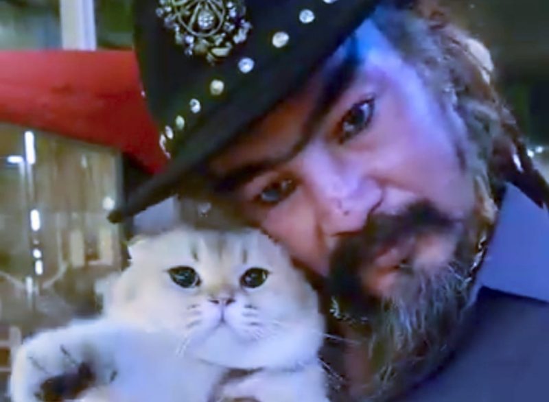 Master Limbat dan Kucing Peliharaannya.(Foto: instagram/@limbadindonesia)