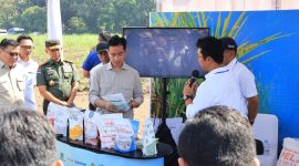 Panglima TNI Dampingi Wapres Gibran Rakabuming Raka, Dukung Panen Raya Tebu Demi Target Swasembada Gula Nasional.(Foto: Puspen TNI)