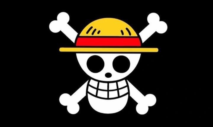 Bendera One Piece.(Foto: pinterest.com/hayana)