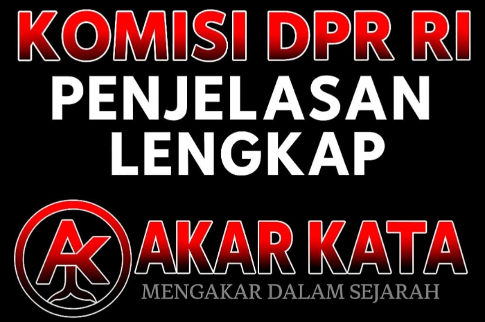 Komisi DPR RI: Struktur, Bidang Tugas, dan Mitra Kerja Periode 2024–2029.(Foto: Solihin/Utehso)