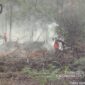 Ground Check Hotspot, Polsek Nanga Pinoh Bersinergi Padamkan Api Lahan