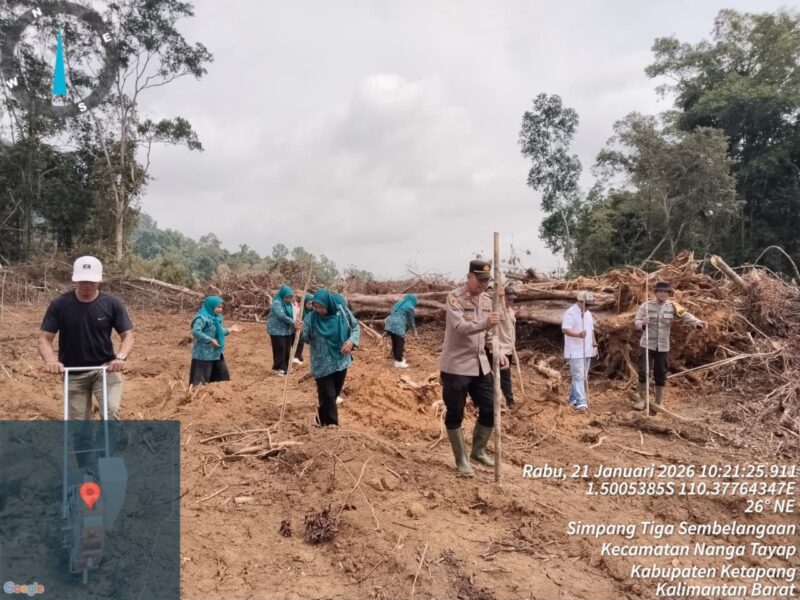 Dukung Ketahanan Pangan, Kapolsek Nanga Tayap Ikut Tanam Jagung Hibrida
