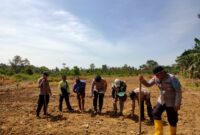 Dukung Swasembada Pangan, Kapolsek Kendawangan Turun Langsung Tanam Jagung
