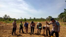 Dukung Swasembada Pangan, Kapolsek Kendawangan Turun Langsung Tanam Jagung