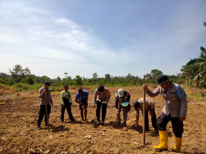 Dukung Swasembada Pangan, Kapolsek Kendawangan Turun Langsung Tanam Jagung