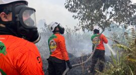 Titik Api Ditemukan Dekat Bandara Supadio, Tim Karhutla Bergerak Cepat
