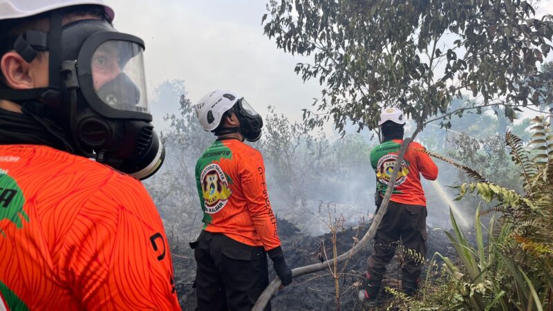 Titik Api Ditemukan Dekat Bandara Supadio, Tim Karhutla Bergerak Cepat