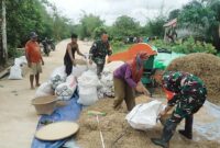 Babinsa Koramil Sejangkung Bersama Petani Sambas Rontokkan Padi Panen