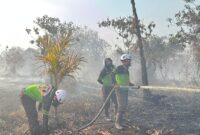 Tim SAR Ditsamapta Polda Kalbar Padamkan Karhutla di Sekitar Bandara Supadio