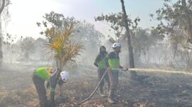 Tim SAR Ditsamapta Polda Kalbar Padamkan Karhutla di Sekitar Bandara Supadio