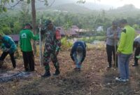 Danramil 05/Pemangkat Tinjau dan Hadiri Penanaman Jagung Program Hanpangan