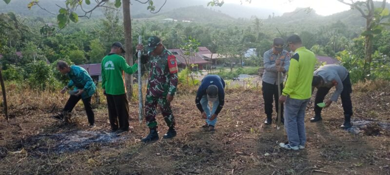 Danramil 05/Pemangkat Tinjau dan Hadiri Penanaman Jagung Program Hanpangan