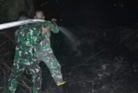 Dini Hari Hadapi Karhutla, Denmadam XII/Tpr Selamatkan Permukiman Bansir Darat