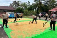 Ketahanan Pangan Nasional, Personel Polres Melawi Rutin Lakukan Penjemuran Jagung
