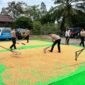 Ketahanan Pangan Nasional, Personel Polres Melawi Rutin Lakukan Penjemuran Jagung