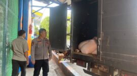 Dukung Program Pangan Nasional, Polres Melawi Suplai Jagung ke Bulog Sintang