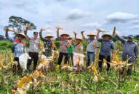 Sinergi Polri, Dunia Usaha, dan Petani Perkuat Ketahanan Pangan di Ketapang