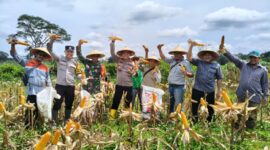 Sinergi Polri, Dunia Usaha, dan Petani Perkuat Ketahanan Pangan di Ketapang