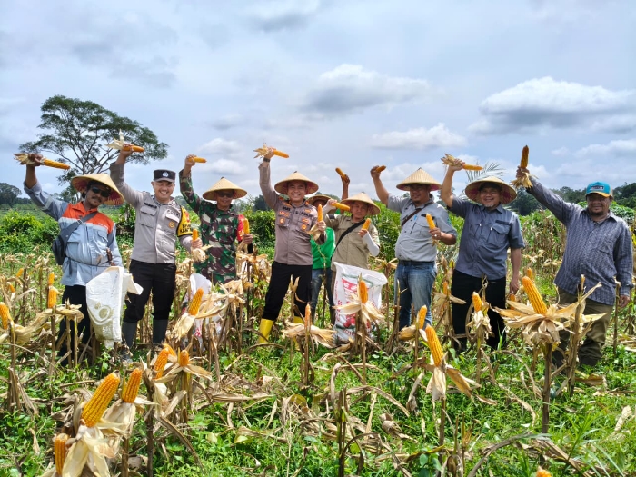Sinergi Polri, Dunia Usaha, dan Petani Perkuat Ketahanan Pangan di Ketapang