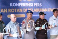 Polda Kalbar Gagalkan Penyelundupan 58 Ton Rotan Ilegal Senilai Rp2,9 Miliar