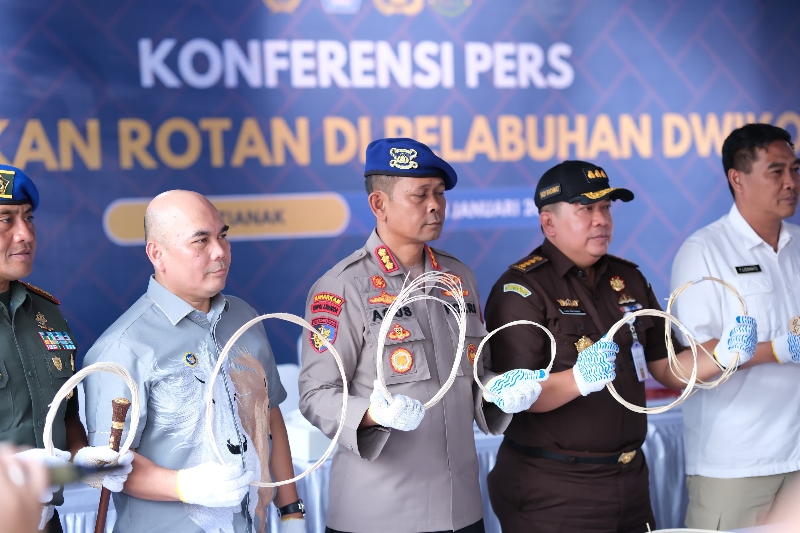 Polda Kalbar Gagalkan Penyelundupan 58 Ton Rotan Ilegal Senilai Rp2,9 Miliar