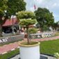Gerakan Hijau Kapolres Melawi: Bonsai dan Pohon Hiasi Halaman Mako Polres