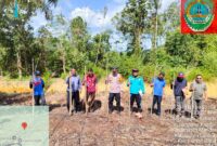 Polsek Mandor Bersama Pemdes Tanam Jagung Serentak, Dukung Ketahanan Pangan Nasional