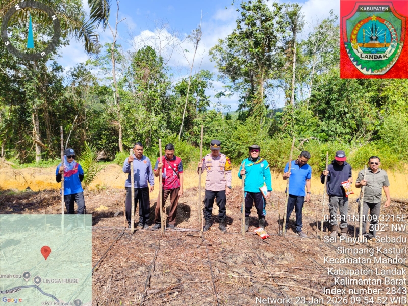 Polsek Mandor Bersama Pemdes Tanam Jagung Serentak, Dukung Ketahanan Pangan Nasional