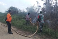 Pemadaman Kebakaran Lahan di Selakau, Koramil 06/Selakau Turun Langsung