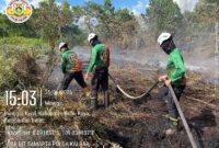 Cegah Karhutla Berulang, Tim Gabungan Lakukan Pendinginan Lahan di Punggur Kecil