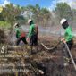 Cegah Karhutla Berulang, Tim Gabungan Lakukan Pendinginan Lahan di Punggur Kecil