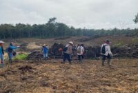 Demplot Jagung Polres Landak Buka Akses Jalan dan Tingkatkan Lapangan Kerja Warga Desa Nyiin