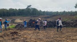 Demplot Jagung Polres Landak Buka Akses Jalan dan Tingkatkan Lapangan Kerja Warga Desa Nyiin