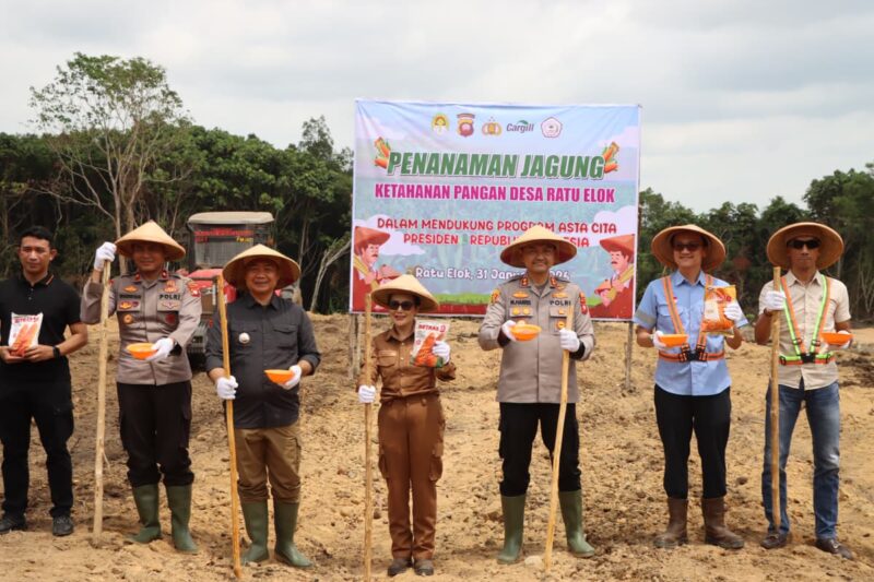 Sinergi Polres dan Forkopimda Ketapang Awali 2026 dengan Penanaman Jagung Hibrida