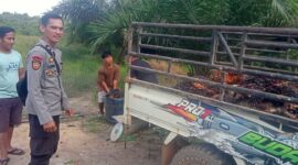 Polisi Sapa Petani Sawit Saat Patroli Siang Polsek Sebangki