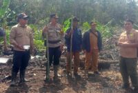 Sinergi Polri dan Desa, BUMDes Sungai Segak Tanam Jagung di Lahan Produktif