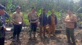 Sinergi Polri dan Desa, BUMDes Sungai Segak Tanam Jagung di Lahan Produktif