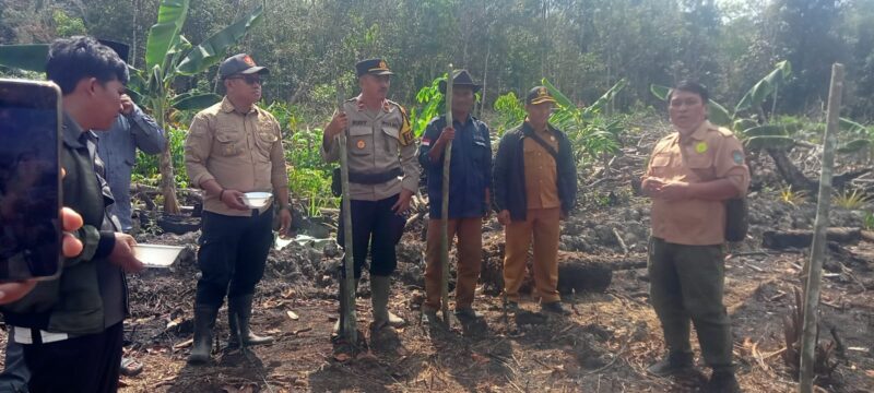 Sinergi Polri dan Desa, BUMDes Sungai Segak Tanam Jagung di Lahan Produktif
