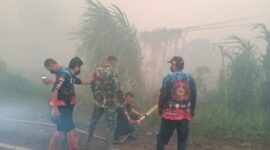 Asap Tebal Kebakaran Gambut Ganggu Jalan Raya, TNI Bergerak Cepat di Desa Galang