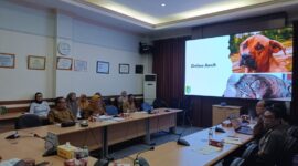 Ancaman Rabies Meningkat, Pemkab Sintang Segera Berlakukan KLB 2026