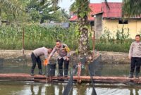Kapolres Melawi Tebar Ribuan Benih Ikan di Polsek Nanga Pinoh