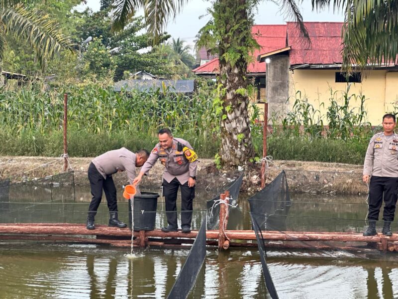 Kapolres Melawi Tebar Ribuan Benih Ikan di Polsek Nanga Pinoh