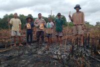 Polsek Jelai Hulu Tanam Jagung Hibrida Bersama Warga Pangkalan Suka, Perkuat Ketahanan Pangan Ketapang
