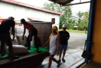 Polsek Meranti Salurkan 5,6 Ton Jagung Petani ke Bulog Pontianak, Dukung Ketahanan Pangan Nasional
