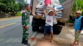 Babinsa Koramil Tebas Kawal Penyaluran Pupuk Subsidi di Sambas, Dukung Ketahanan Pangan Petani