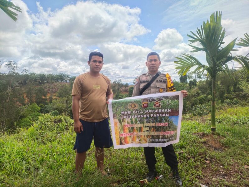 Bhabinkamtibmas Mempawah Hulu Ajak Warga Tanam Jagung Dukung Ketahanan Pangan Nasional