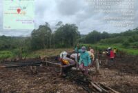 Kapolsek Menyuke Hadiri Penanaman Jagung Program 1 Desa 1 Hektar di Desa Mamek