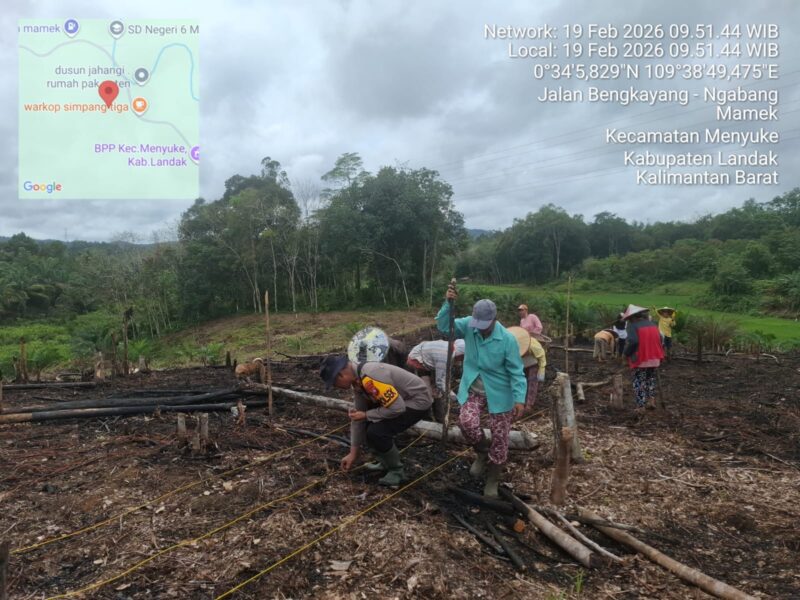 Kapolsek Menyuke Hadiri Penanaman Jagung Program 1 Desa 1 Hektar di Desa Mamek